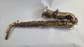 Lyon and Healy American Professional (2)